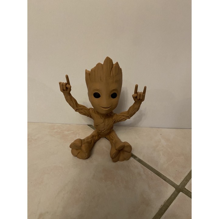 Petit Groot