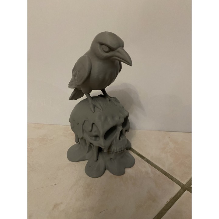 Corbeau avec tête de mort